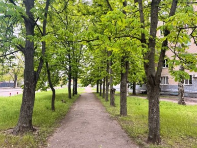 ������ ��������� ����, ������ � ����� ���������� ������ ����������