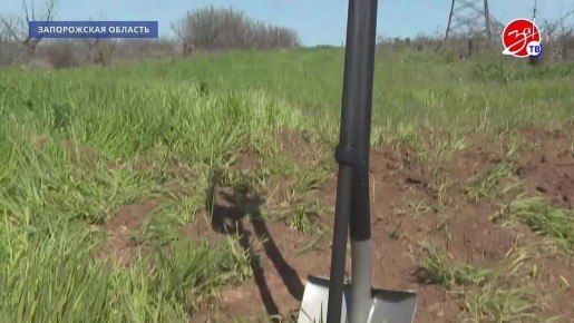 ������ ���� ������� ���������� ��������� ����������� ���������� ������