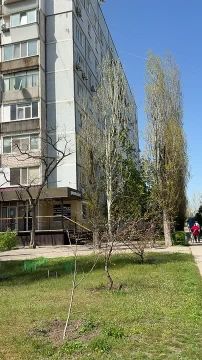 ������� ����������: �� ����� ���������� ������, ������� ����������� �� ����������