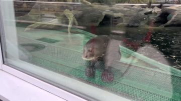 ���� ����� ������������ � ����������� �������