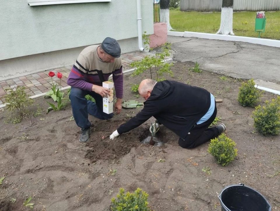 Бескорыстный дар для пгт Куйбышево! Бескорыстный дар для пгт Куйбышево!