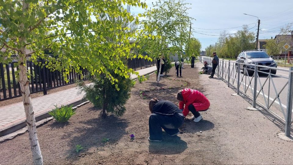 В Кирилловском сельском поселении провели работы по озеленению В Кирилловском сельском поселении провели работы по озеленению