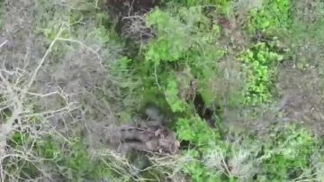 ��������� ������ ������ ���������� ���������� �� ����������� �����������