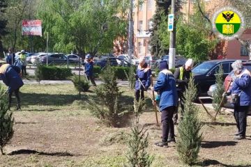 � ���������� ������������ ��������������� ����