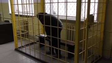 10 ��� �������� ������ ������� ������ ���������� �� �������� �������� ���������