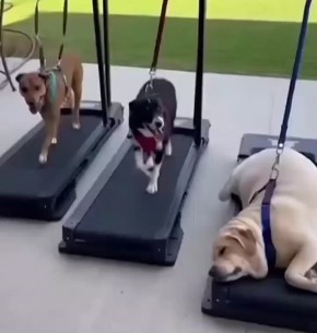���� �������. ������ ������� � ����� �������� ����