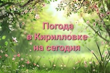 ������� ������ �� �������. � ������������ �������� ��������� �������, 02 ���, ���������: ���� -- +15�