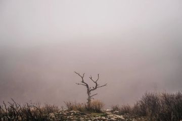 � ����������� ������� �������� ���������� �������������� ��-�� ����������