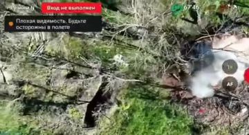 ��������� � ������������ 58 ����� ���������� ������ � ������� ����� � ����������� �������