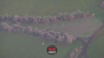 WarGonzo: ������ ������ �-777: ����������� ������� �� ����������� �����������