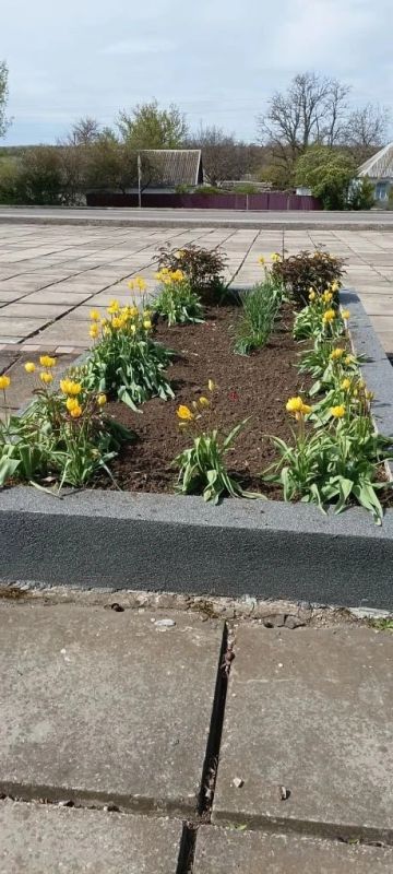 Благоустройство мемориала «Никто не забыт, ничто не забыто» в посёлке Андреевка Благоустройство мемориала «Никто не забыт, ничто не забыто» в посёлке Андреевка