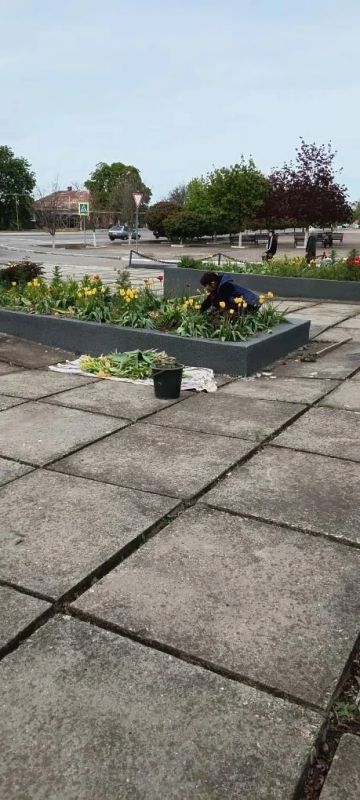 Благоустройство мемориала «Никто не забыт, ничто не забыто» в посёлке Андреевка Благоустройство мемориала «Никто не забыт, ничто не забыто» в посёлке Андреевка