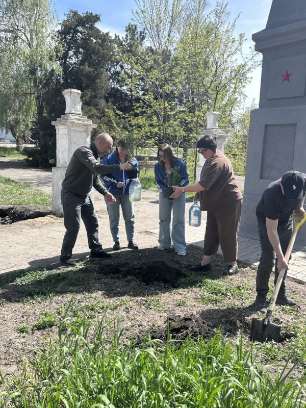 На центральной улице Молочанска появились новые зелёные жители На центральной улице Молочанска появились новые зелёные жители