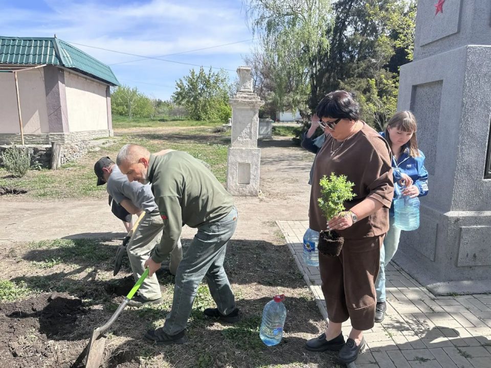 На центральной улице Молочанска появились новые зелёные жители На центральной улице Молочанска появились новые зелёные жители