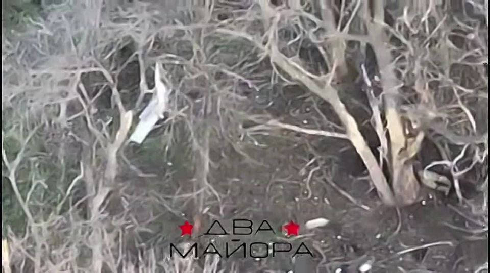 Два майора: Ореховское направление Запорожского фронта