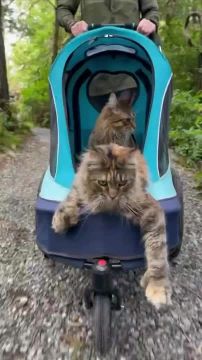 ��� � ����. ��������� � ����� ������� ����