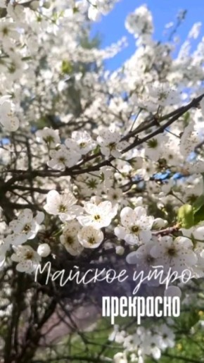 � ������ ����� ������������