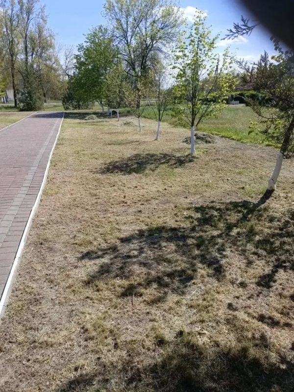 Ко Дню Победы шефы привели в порядок территорию памятника в с. Возрождение Ко Дню Победы шефы привели в порядок территорию памятника в с. Возрождение