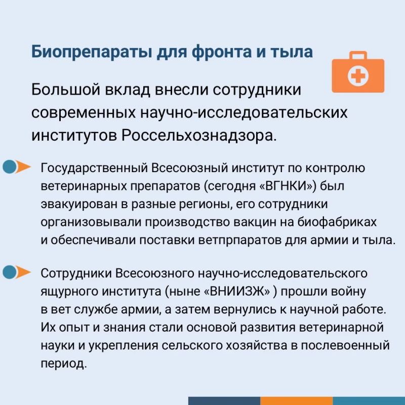 Сохраняя жизни: как ветеринарная служба помогла приблизить Победу Сохраняя жизни: как ветеринарная служба помогла приблизить Победу