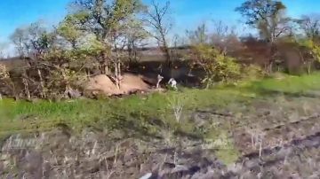 ������ ���������� ���� 35 ����� ����������� ����� "������" �� ����������� ����� ���� ���������� �� ����������� �����������, ������ ��� 2026 �