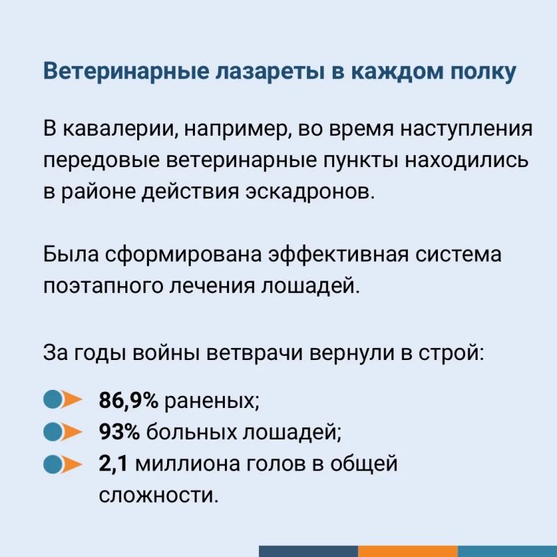 Сохраняя жизни: как ветеринарная служба помогла приблизить Победу Сохраняя жизни: как ветеринарная служба помогла приблизить Победу