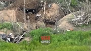 WarGonzo: ��� ��� ��� �� ���������� ��������!�
