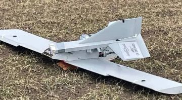��� ����� 16 000 ��� �������� ����� ����������� ���� � ���� ���