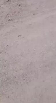 ��������� �������� ����������� �����-��������� ��� ������ �����-������������ �����