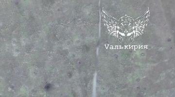 Враг будет разбит. Операторы отряда «Валькирия» 4-й военной базы ведут постоянную охоту на разведывательные дроны врага