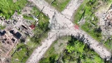 Два майора: Запорожский фронт. Бойцы десантно-штурмового полка, работающие на этом участке фронта, делятся кадрами своей боевой работы
