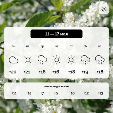 ������ � ����������� ������� �� 11 � 17 ���