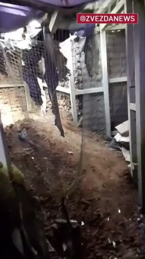 ���� ����� ������ ��� �� ���������� �� ��������� ���� �� ���������������� �����������