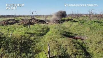 "�����" - ���������. ������ ������� ����� ��������� �� ���, ��� ��������