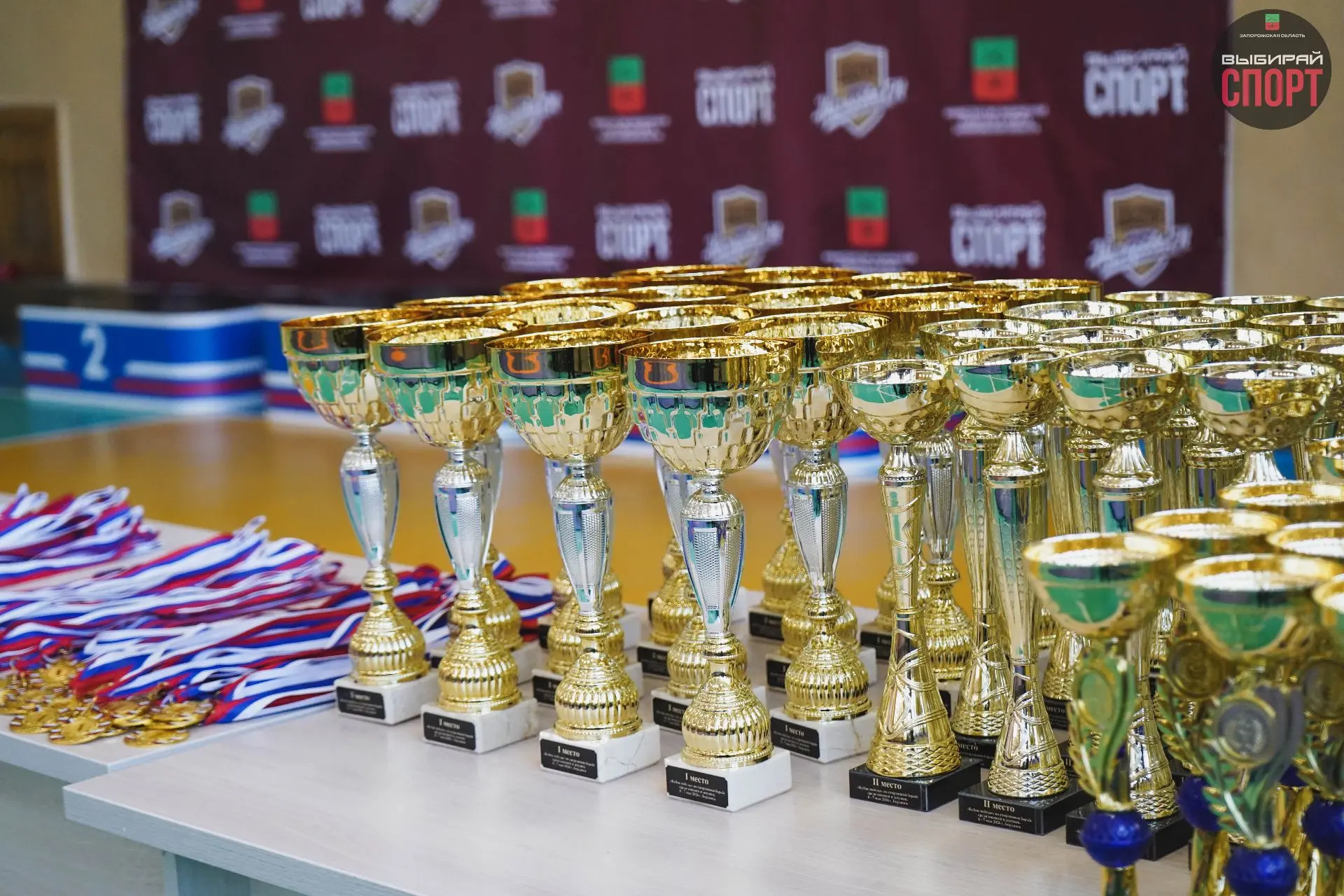 Кубок Победы по спортивной борьбе прошел в Спортивной школе имени Назарова Е.И. г.Бердянск Кубок Победы по спортивной борьбе прошел в Спортивной школе имени Назарова Е.И. г.Бердянск