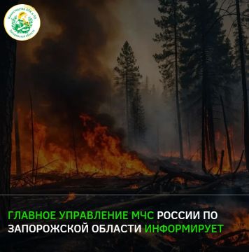 �� ������ ������-����������� ����, �� ����� ����� 12 ��� � � ������� 13 ��� � �������� � ��������� ������� ����������� ������� ��������� ������� ��������������� 4 ������