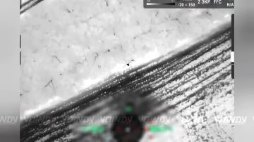 ���������� ���������� ����� ���� � ����������� ������� ����������� 60 �������