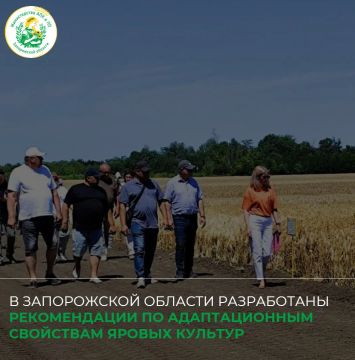 �� ������ ������� ������������ ������������ ������������ ������������ �������������� �������� ������ ������� � �������� ������������ ����������� �������