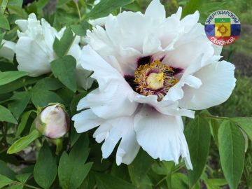 � ������ �����! ����� ������� ���� �������� ��������� ��������, ��� ���� ���� �������� �������� ��� ��������� ����� ����� ���������