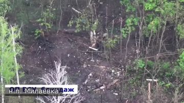 ���������: ������ ������� ������� � ������� � ������������ ����� �� ����� ���, ��� �������� ����!