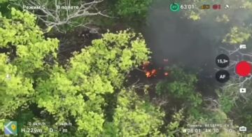 �������� FPV-����� �� �� �������� ����� ���� ���������� ���-�� � ���� ���