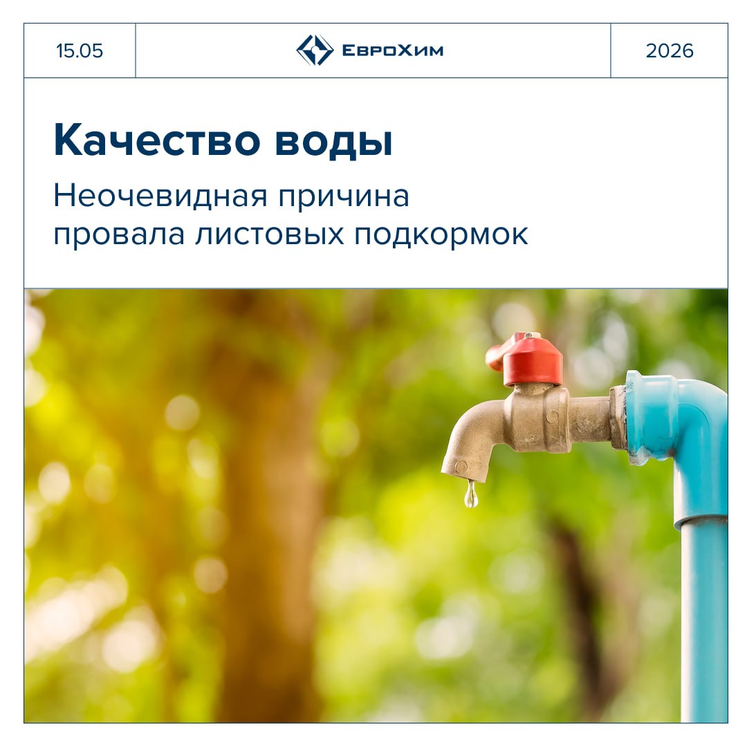 Качество воды для листовых подкормок: что нужно знать каждому агроному