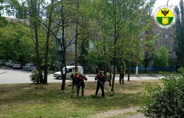 В Мелитополе продолжаются работы по приведению в порядок улиц