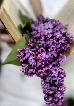 �e��c�� �e����c� c ��a�� �� �a �e, a � �c� �p��
