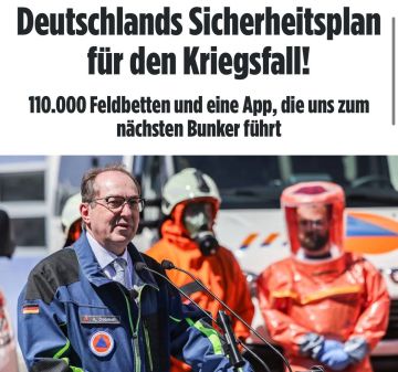�������� ��������� ������� 10 ���� ���� � ����������� ������� �� ������ �����, � Bild