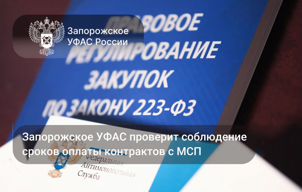 Усиление контроля за оплатой контрактов с МСП в Запорожской области