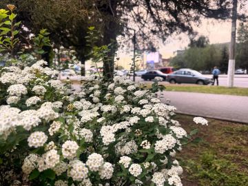 Доброе утро