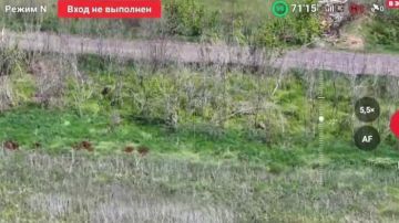 � ����������� ������� ������� ������� ���������� ���������� � �����������