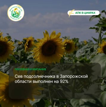 На сегодняшний день в Запорожской области аграриями засеяно 335 тыс