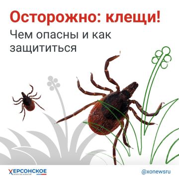 Клещи уже открыли сезон охоты, и короткая прогулка по лесу может стоить вам здоровья.