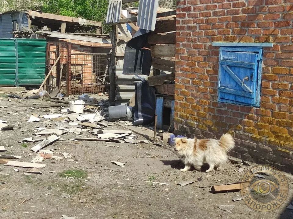 Беспилотники ВСУ ударили по центру села в Куйбышевском округе Запорожской области Беспилотники ВСУ ударили по центру села в Куйбышевском округе Запорожской области